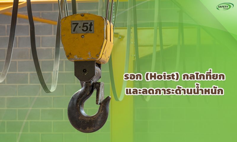 2.รอก (Hoist)กลไกที่ยกและลดภาระด้านน้ำหนัก copy