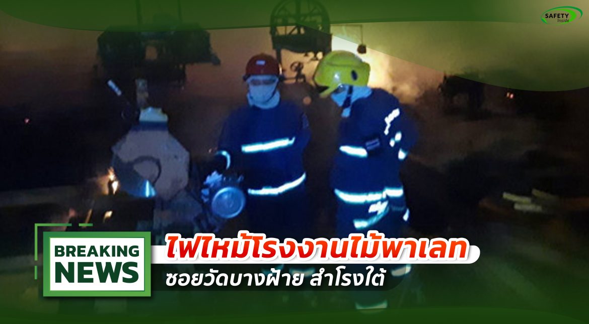 โรงงานไม้พาเลท1